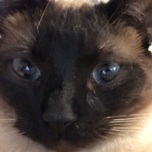 Meet your Posher, Lynn